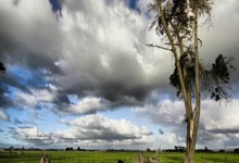 欧洲联赛即将上演一幕幕令人期待的情节