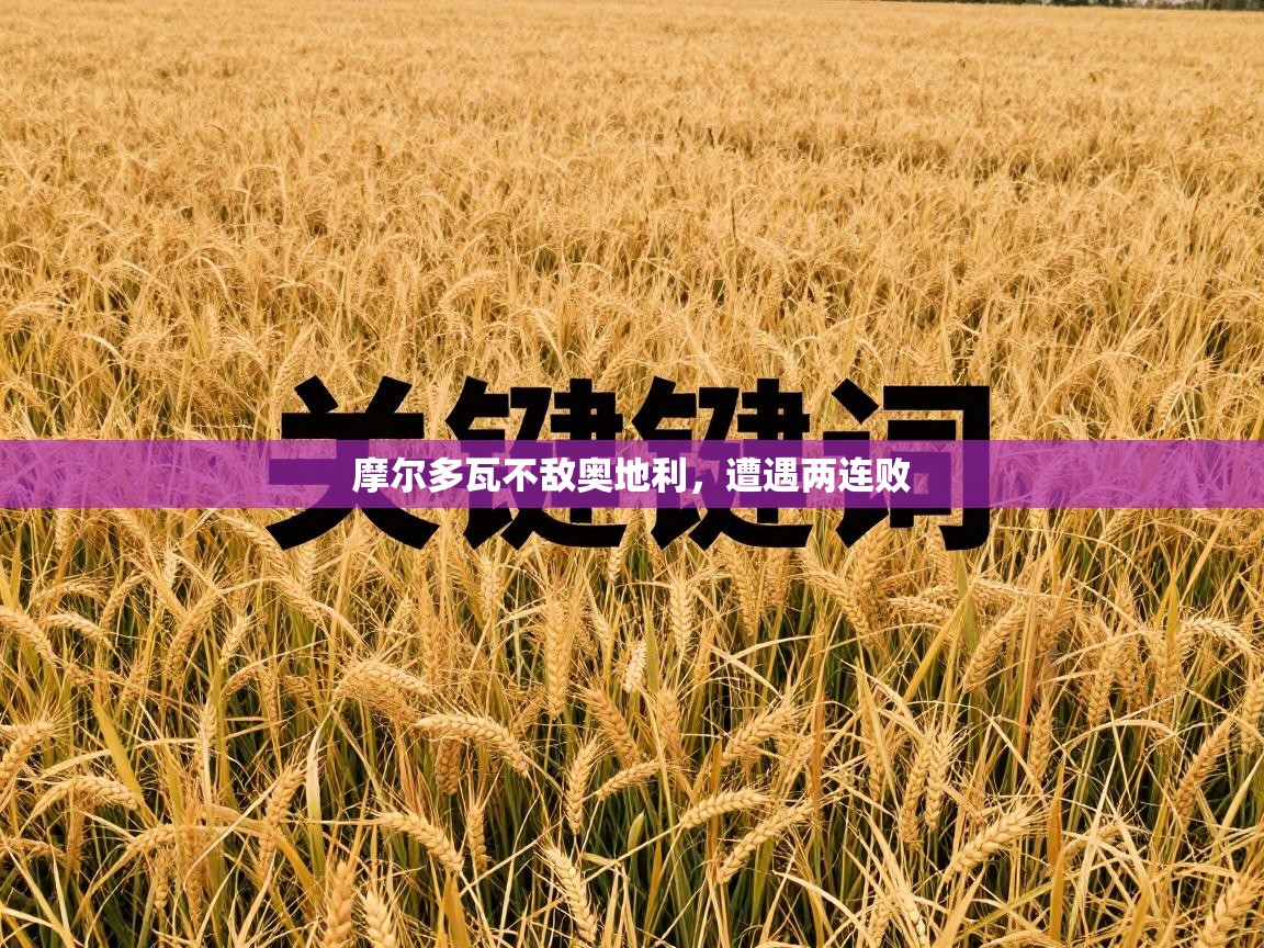 摩尔多瓦不敌奥地利，遭遇两连败